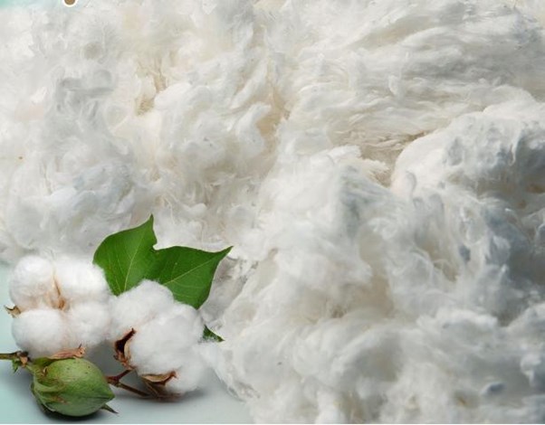 US Cotton comber noil