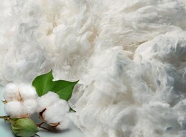 US Cotton comber noil
